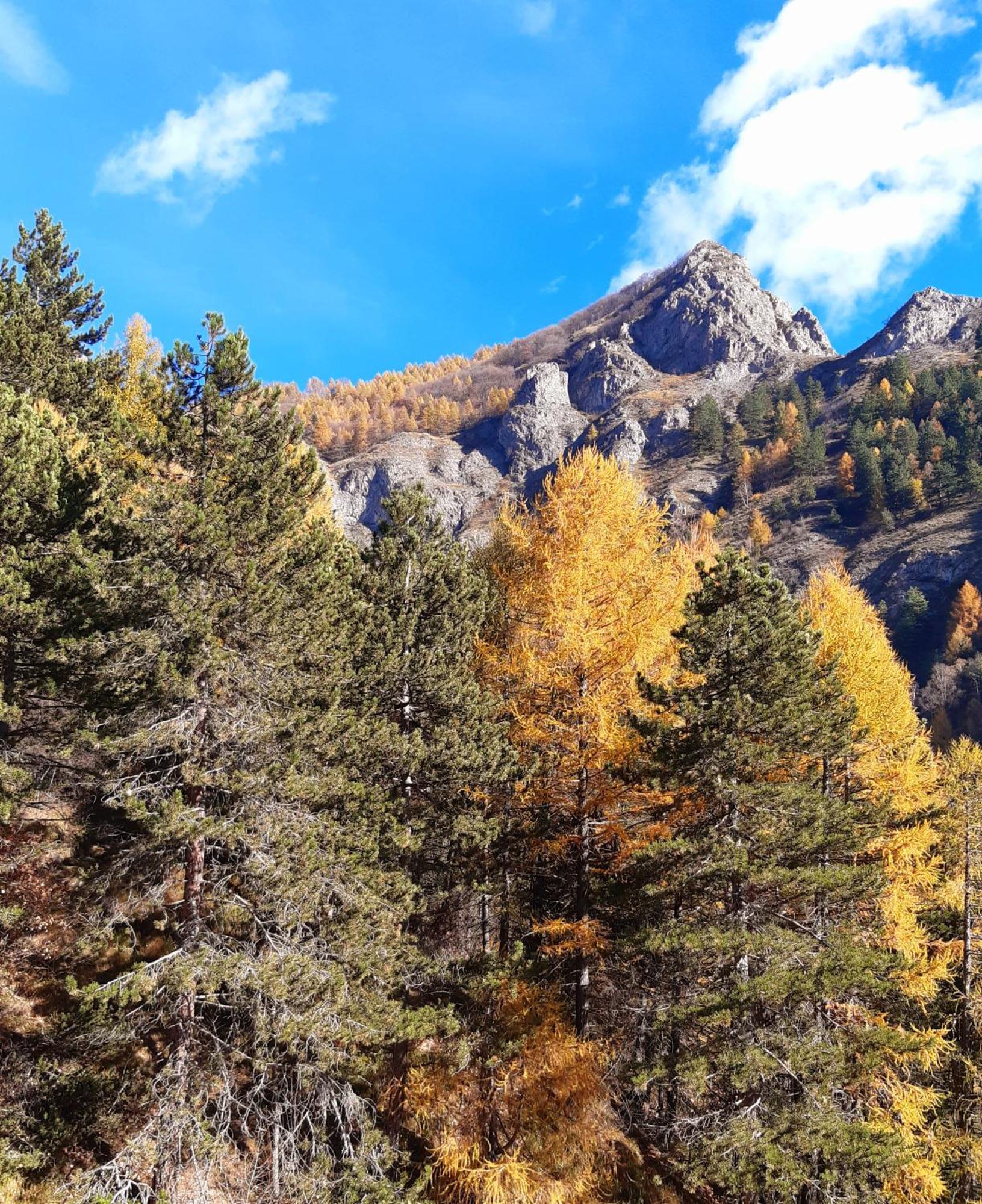 Alloggio Винадио Экстерьер фото